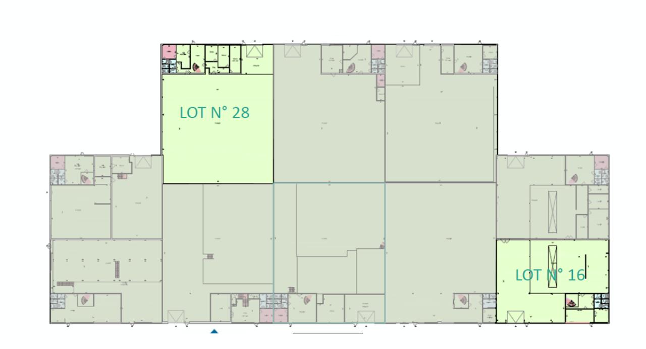 Local d'activité Massy 887m² Location local d'activité Massy Essonne OLACT2424456 8